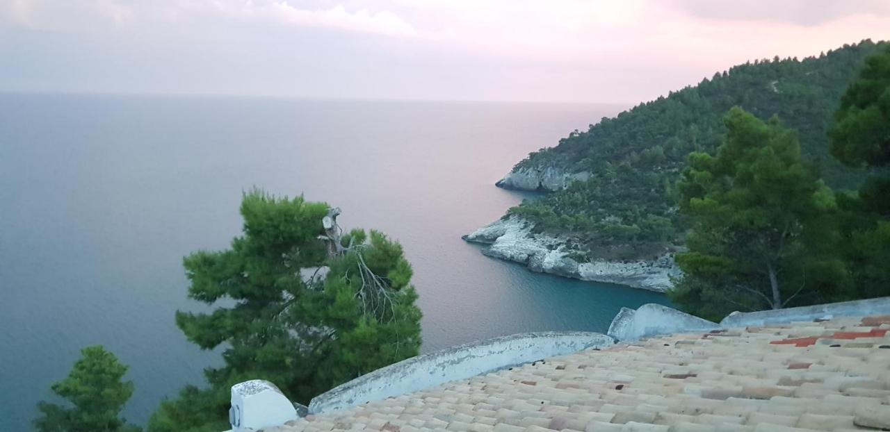 Villa Cala Della Pergola Vieste Buitenkant foto