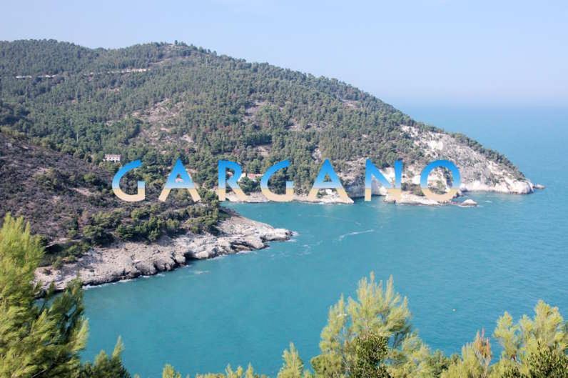 Villa Cala Della Pergola Vieste Buitenkant foto