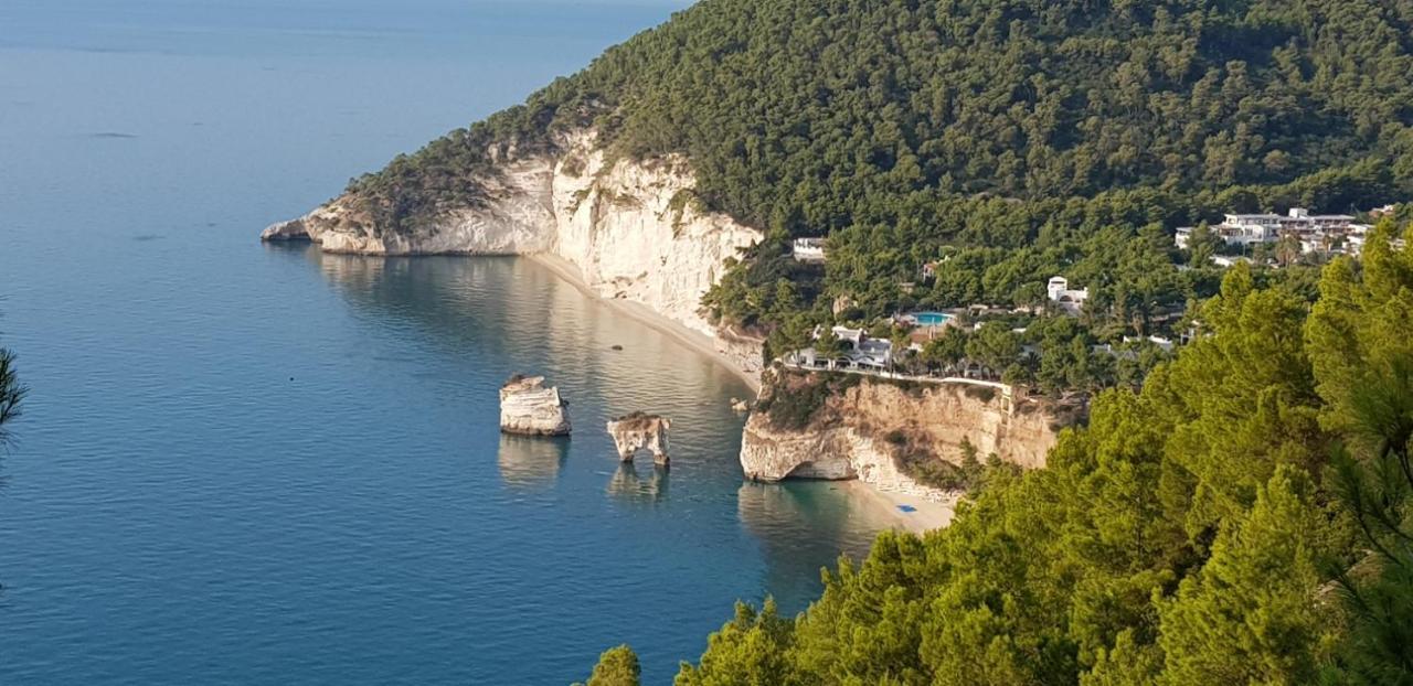 Villa Cala Della Pergola Vieste Buitenkant foto