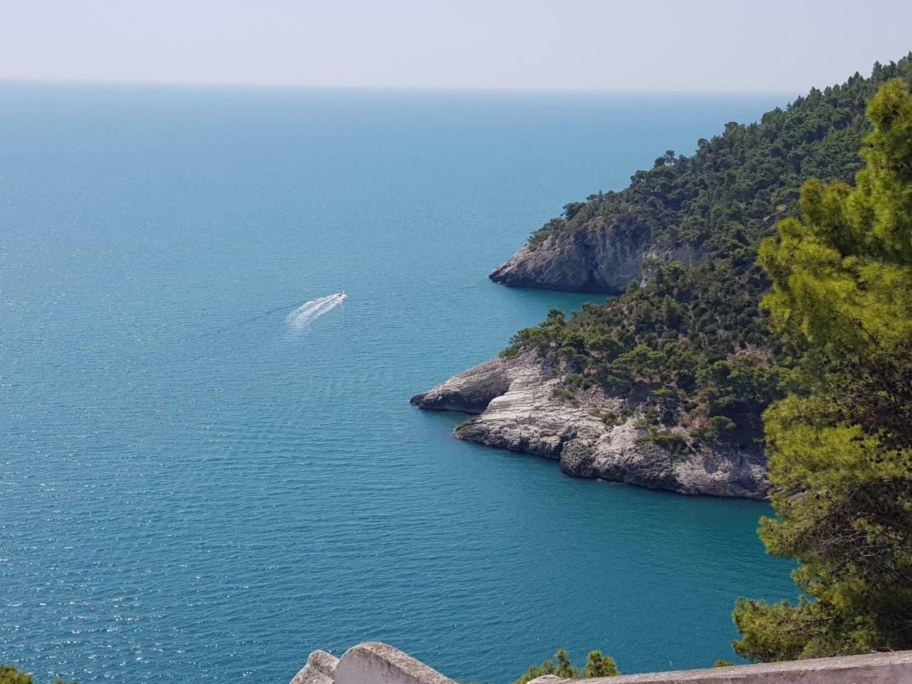 Villa Cala Della Pergola Vieste Buitenkant foto
