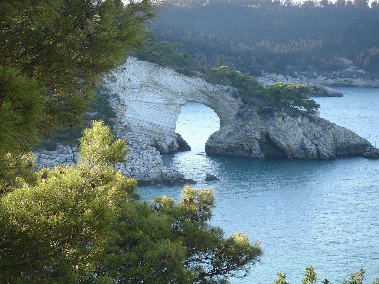 Villa Cala Della Pergola Vieste Buitenkant foto